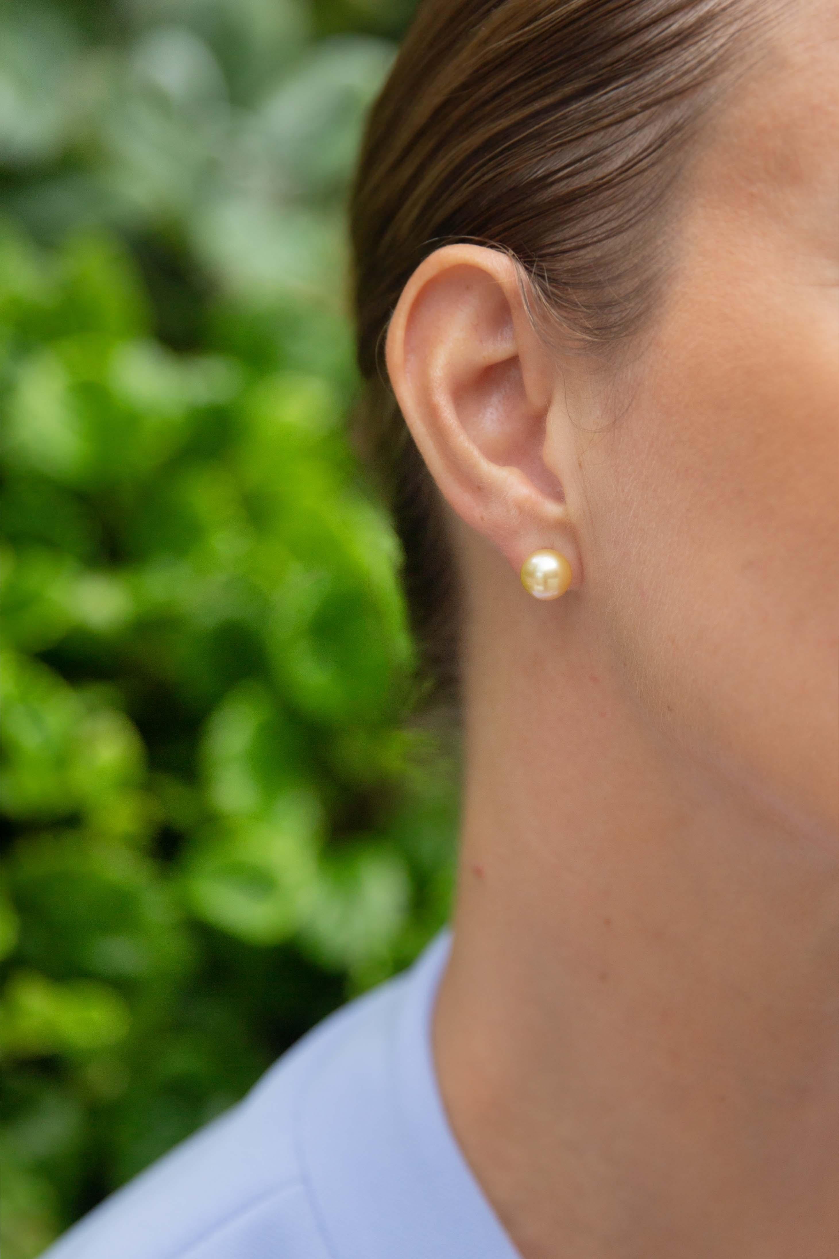 Contemporary Golden South Sea Pearl Studs 9 Carat Yellow Gold