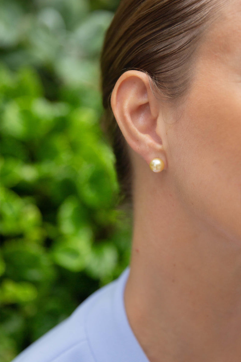 Contemporary Golden South Sea Pearl Studs 9 Carat Yellow Gold