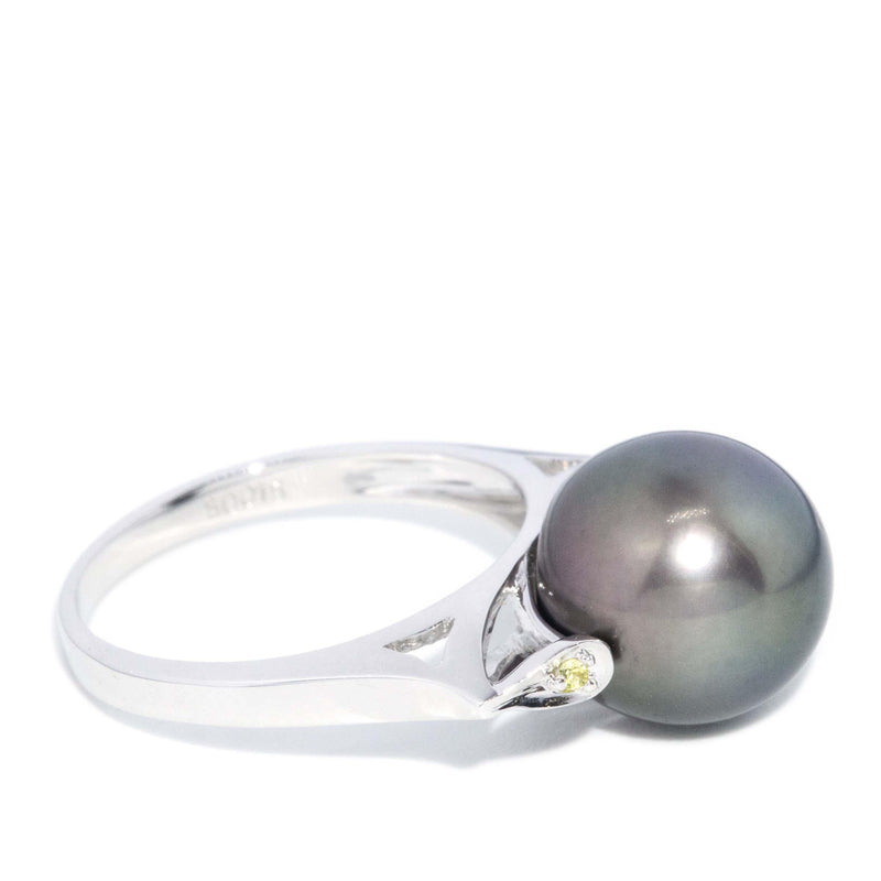 Contemporary Tahitian Pearl & Sapphire Ring 18 Carat White Gold