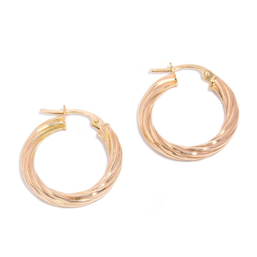Neve Twisted Texture Hoop Lever Earrings 9K Yellow Gold