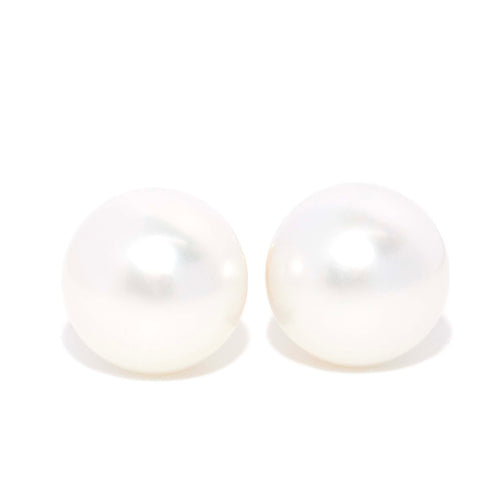 Paislee South Sea Pearl Button Stud Earrings 18K Yellow Gold