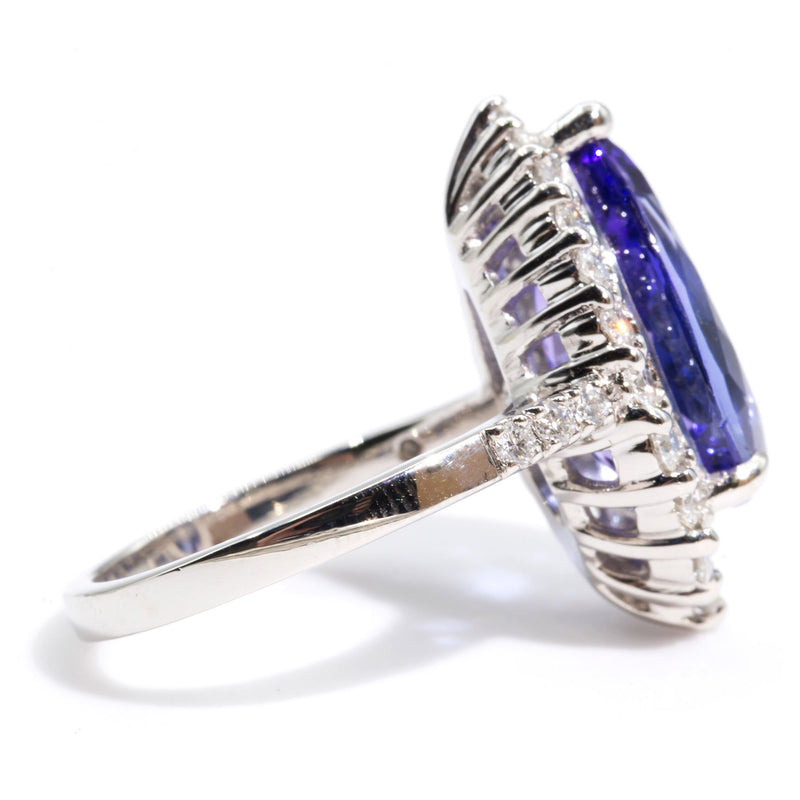 Madi Platinum Tear Drop Tanzanite and Diamond Halo Ring Rings Imperial Jewellery - Auctions, Antique, Vintage & Estate 